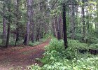 2014-08-01 10.08.28
